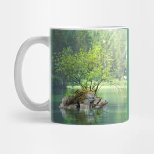 Lake turtle Mug